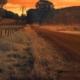 Entenda o que é o Cadastro Ambiental Rural (CAR) de uma vez por todas